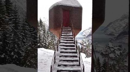 Norway&#39;s Luxury Tree House #shortsvideo