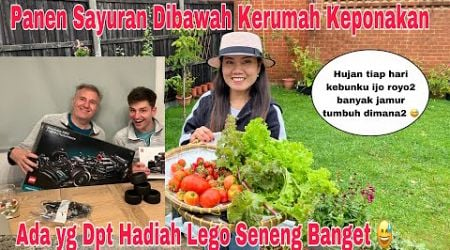 Panen Sayur Dan Buah Di bawah Kerumah Keponakan! Dimasakin Menu ala Cyprus!