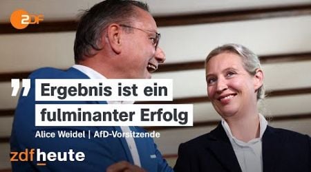 Partei der Zukunft? AfD-Chefin Weidel zur Wahl in Brandenburg