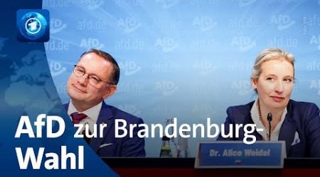 AfD-Bundessprecher:innen Weidel und Chrupalla zur Landtagswahl in Brandenburg