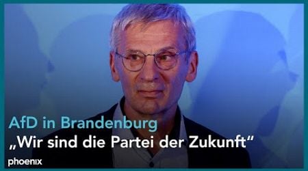 LTW Brandenburg: Statement der AfD mit Alice Weidel, Tino Chrupalla und Hans-Christoph Berndt