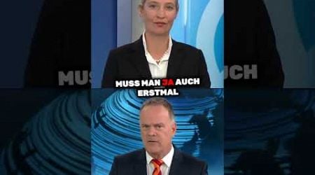 Partei der Zukunft? AfD-Chefin Alice Weidel zur Wahl in Brandenburg @ZDFheute