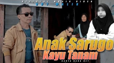 ODI MALIK - ANAK SARUGO KAYU TANAM - (OFFICIAL MUSIC VIDEO)