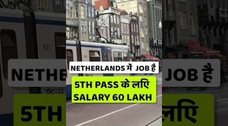 Netherlands Work Permit Process 2024