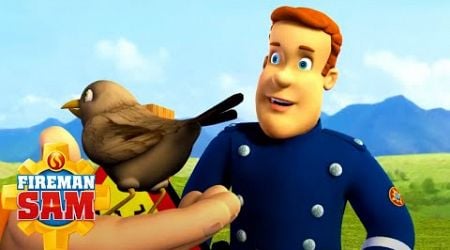 Animal rescues! | Fireman Sam Official | Cartoons for Kids