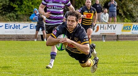 Young Munster RFC secure hard-fought victory over Terenure College in All-Ireland League