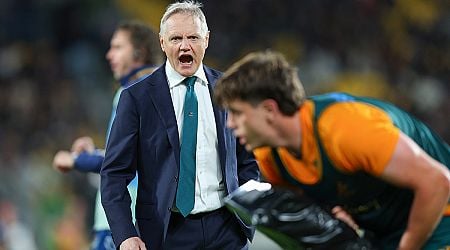 Australia can be 'competitive' against the Lions