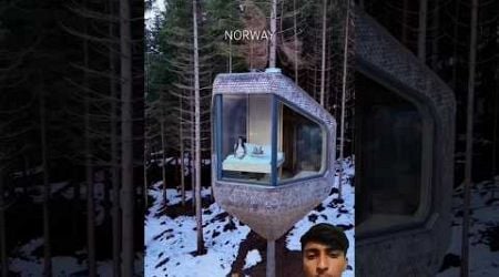 Norway&#39;s Luxury Tree House #shortsvideo #travel #tinyhouse #winter #hotel #amazingfacts