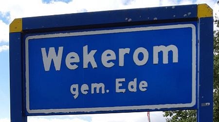 Wolf kills pony in Wekerom pasture, says Ede municipality