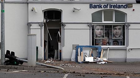 Gardai reveal how ATM-robbing 'Hole in the Wall' gang was smashed