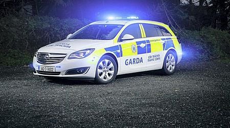 Teenage girl 'shaken' after escaping stolen car as gardai arrest suspect after cross-border chase