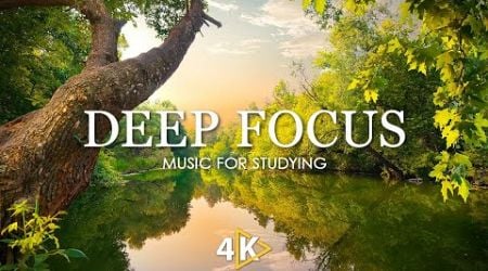 Deep Focus Music To Improve Concentration - 12 Hours of Ambient Study Music to Concentrate #803