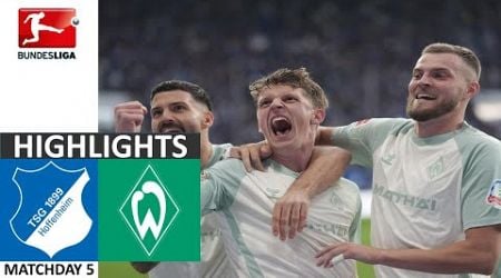 Hoffenheim vs Werder Bremen 3-4 | Highlights | Bundesliga 2024/25