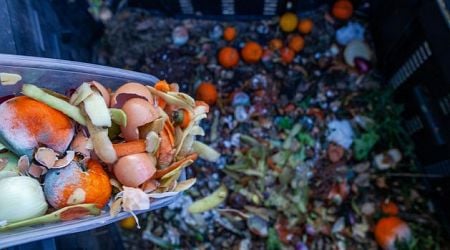 Food waste levels in Ireland 10pc above EU average