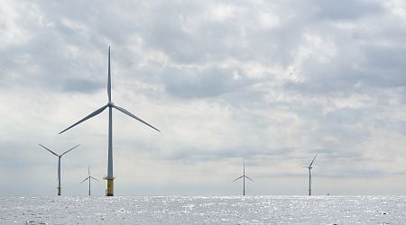 More than half of Dutch electricity comes from renewables