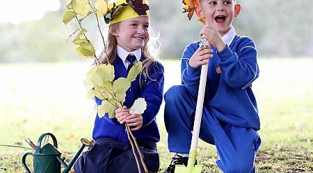 Primary schools invited to discover the magic of trees