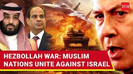 Muslim Nations Rain Fire On Israel: Saudi, Egypt, UAE, Jordan, Turkey Fume Over Hezbollah War