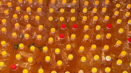 No significant rise in the price of sunflower oil to be expected