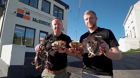 Downings fishing company named Seafood Exporter of the Year
