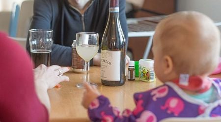 Concerns over alcohol delivery: Majority of Finns fear increased child protection cases