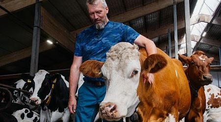 Finnish livestock farming leads the way in sustainability efforts