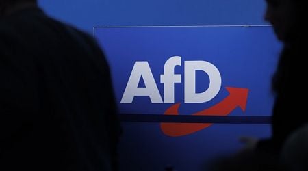 Some German MPs considering case to ban far-right AfD