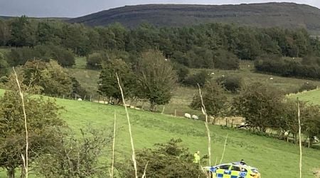 Police name boy (8) who died after being shot at UK farm