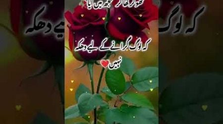 THOKAR KHA KR SAMJH MEIN AYA #subscribemychannel #verysadpoetryinurdu #poetry #duet #sadpoetry