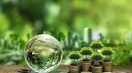 Shelton Sustainable Equity Fund Q2 2024 Commentary