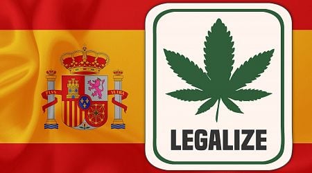 Spain is set to legalise cannabis for medicinal purposes in huge relief for thousands of suffering patients