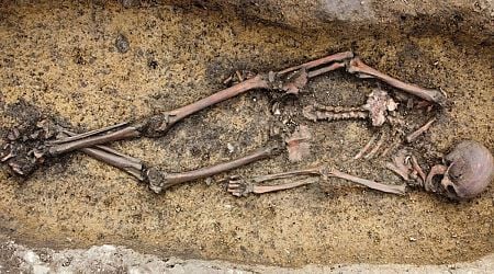 50 Viking Age burials discovered in Denmark, including a woman in a rare 'Viking wagon'