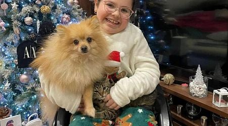 Thieves return dog stolen from disabled girl