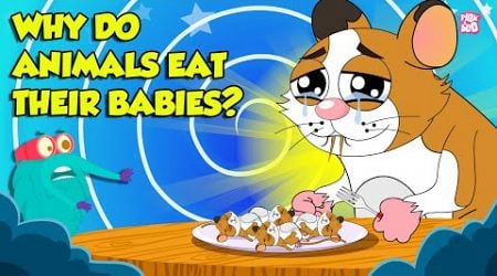 Strangest Animal Fact | Why Do Animals Eat Their Babies? | Filial Cannibalism | Dr. Binocs Show