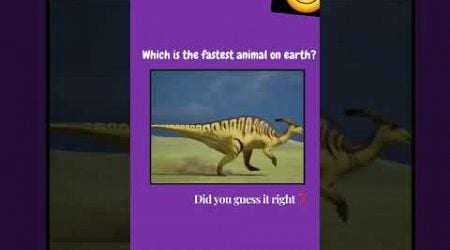 comment the fastest animal #youtubeshorts #shorts #shortsvideo