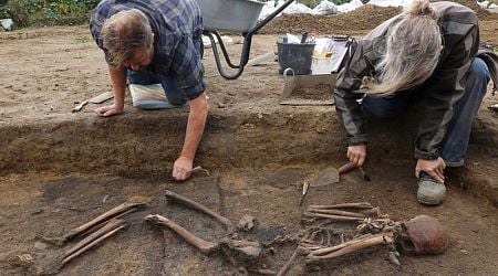 Archaeologists unearth more than 50 Viking skeletons at huge burial site