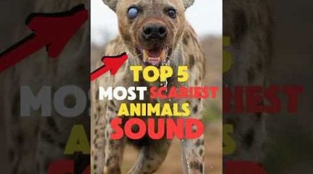 TOP 5 Scariest Animal Sounds in the World