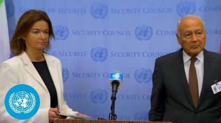 Slovenia &amp; League of Arab States on the Middle East - Security Council Stakeout | United Nations