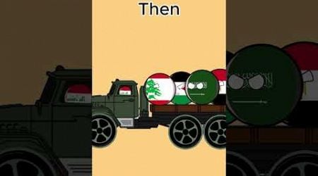 support palestine past and present #countryballs #palestine #israel #arabic #iran #lebanon