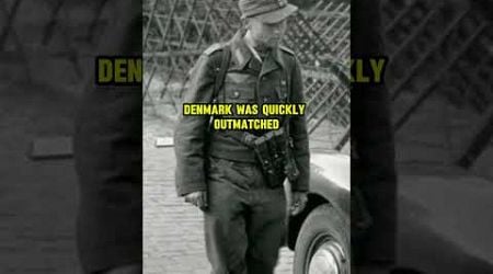 Why did Denmark surrender to Nazi Germany in just 6 hours. #worldwar2 #war #army #warfacts #facts