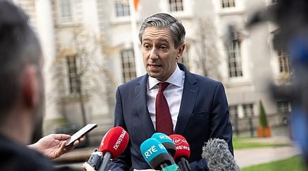 Man arrested over alleged harassment of Taoiseach Simon Harris