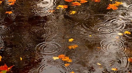 Ireland weather: Met Eireann warn of wet and windy weekend ahead as low pressure moves in