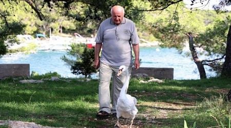 The Croatian man who saved a swan and became inseparable friends