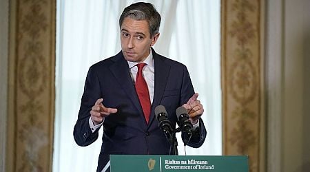 Man arrested as part of investigation into harassment of Taoiseach Simon Harris 