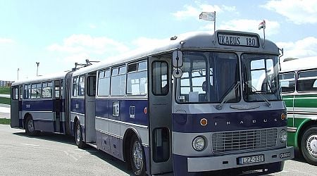 130 Ikarus Buses Await Lovers of Vehicle Rarities in Budapest