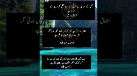 #quotes #urdupoetry #poetry #explore #viralvideo #youtubeshorts