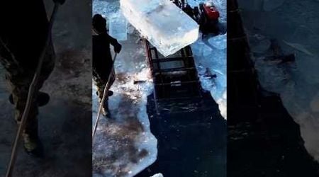 Ice farming in norway