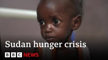 Inside the hospital dealing with Sudan&#39;s famine | BBC News