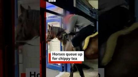 Horses shock customers by queueing up in UK chip shop. #UK #BBCNews