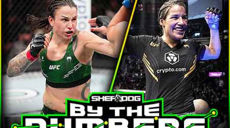 By The Numbers: Raquel Pennington vs. Julianna Pena