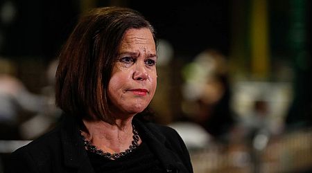 Mary Lou McDonald urged to make statement about references provided to party worker investigated for child sex offences